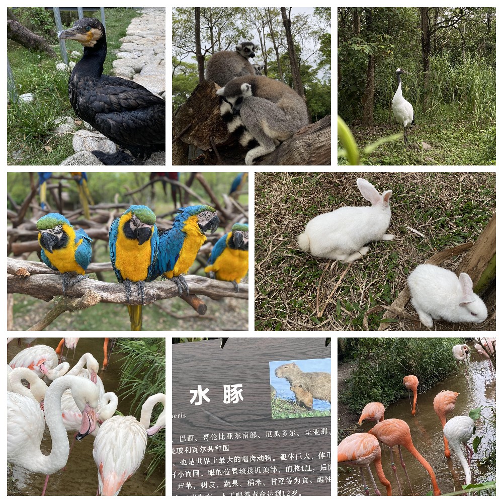 厚積薄發(fā)，蓄力前行：大手牽小手，共圓實(shí)佳夢